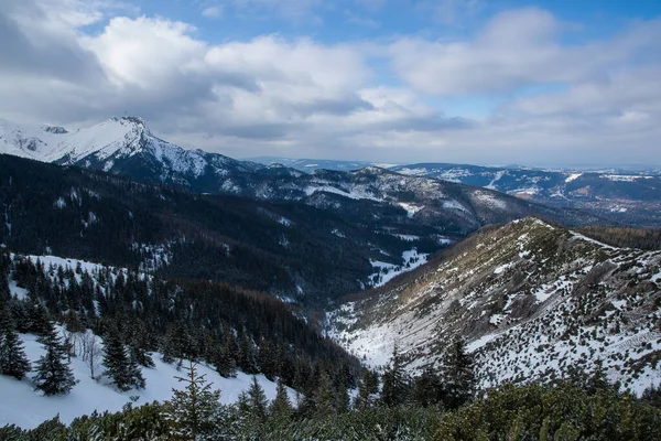 Θέα Στην Κορυφή Των Βουνών Στην Περιοχή Zakopane Στην Πολωνία — Φωτογραφία Αρχείου