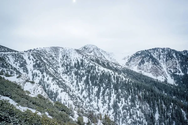 Kilátás Hegyekre Zakopane Területen Lengyelországban Borított Friss Napon Kék Stock Kép