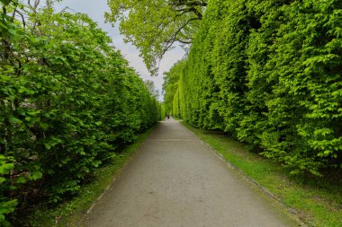 Cesky Krumlov 'un tarihi şehri Vltava Nehri ve Parkside City 