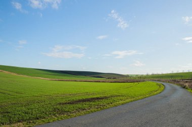 Moravya Toskana 'nın Svatoborice bölgesindeki üzüm bağlarına ve çiftliklere giden ana yolun manzarası güneşli bir sonbahar gününde arka planda bulutlarla dolu mavi bir gökyüzü.