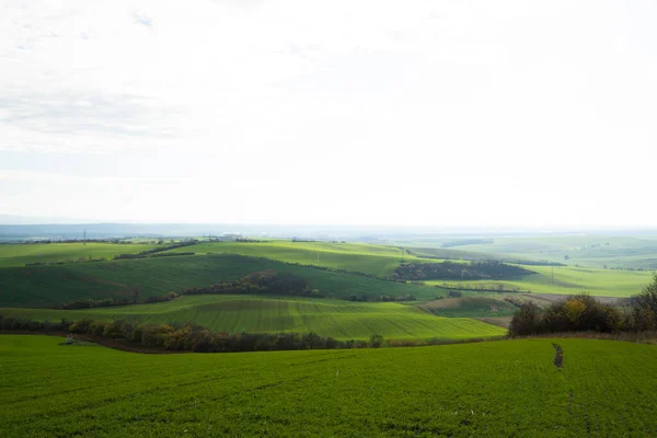 Över Vingårdar Och Gårdar Svatoborice Regionen Mähren Toscana Solig Höstdag — Stockfoto