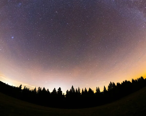 The Milky Way captured wide-spread along with the treetops with a yellow-orange glow on the horizon and lots of stars in the sky during a full night.