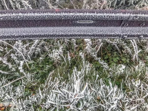 Während Des Morgendlichen Spaziergangs Gefangenen Neuschnee Auf Dem Weg Mit — Stockfoto