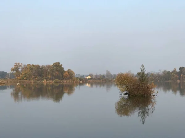 Vijver Tijdens Ochtend Mist Met Spiegel Water — Stockfoto