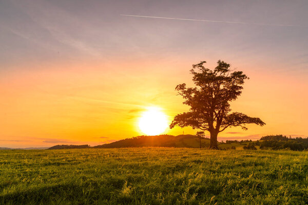 Setting sun time-lapse with a view of an abandoned tree on a hill beyond the horizon of a sunset orange color with a lot of clouds and a change in sky colors on a summer day captured nature on hil