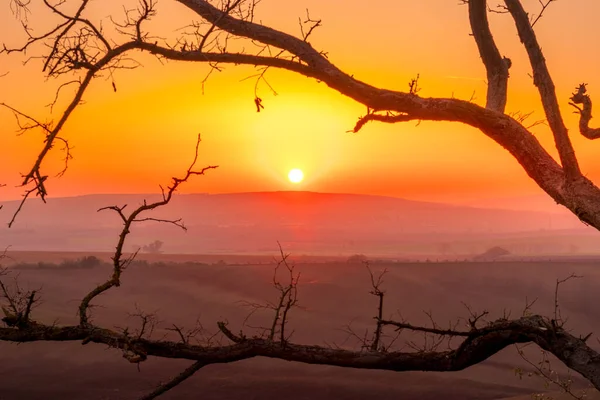 Zon Die Het Laatste Moment Voor Het Ondergaan Van Horizon Rechtenvrije Stockfoto's