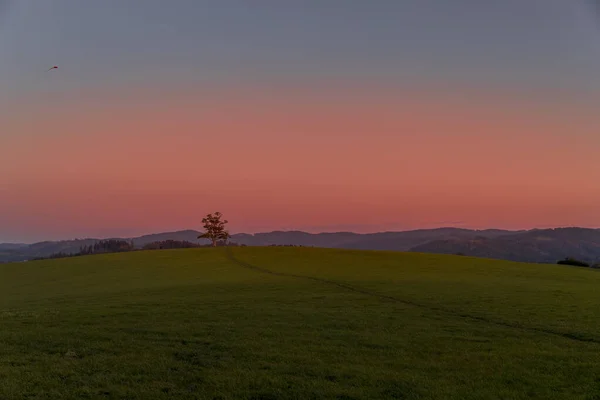 A lone tree on a hill and a family who decided to fly an artificial kite timelapse during the autumn sunset, capturing the sunset with orange-colored clouds and people on the hill.