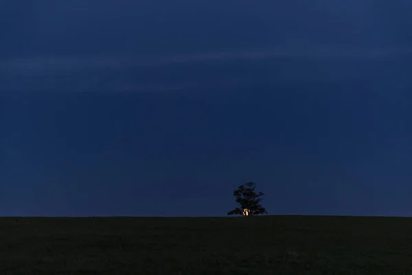 Shows a lone tree on a hill and a moon that, on a full moon, travels behind the entire tree in the background to a full view in the Beskydy countryside Velka Lhota in 4k resolution.