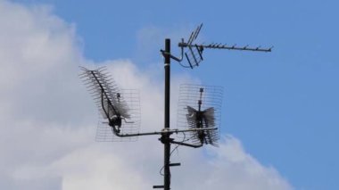 Televizyon ve internet için yüksek antenlerin zamanlaması ve evin çatısında ve arka planında hızlı hareket eden beyaz bulutlarla birlikte mavi gökyüzünde bir sürü kuş uçuşuyor..