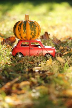 Sonbahar konsepti. Şükran Günü. Arabayla balkabağı. Kırmızı dekoratif araba turuncu bir balkabağı taşıyor.