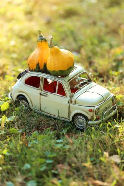 Sonbahar konsepti. Şükran Günü. Arabayla balkabağı. Dekoratif araba turuncu bir balkabağı taşıyor.