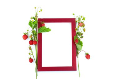 Yaban çileği. Çilek çerçevesi..