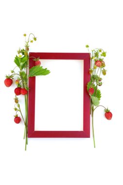 Yaban çileği. Çilek çerçevesi..