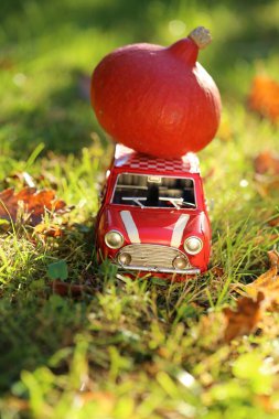 Sonbahar konsepti. Şükran Günü. Arabayla balkabağı. Kırmızı dekoratif araba turuncu bir balkabağı taşıyor.
