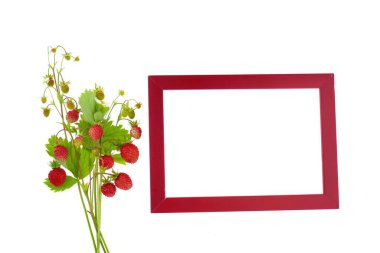 Yaban çileği. Çilek çerçevesi..