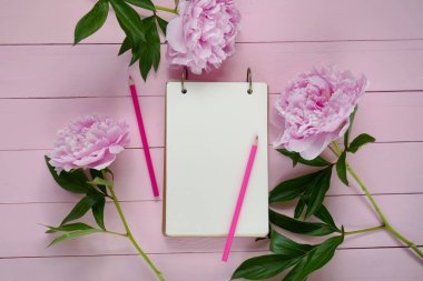 Şakayık çiçekleri. Bahar Düz Kat. Çiçek modeli.