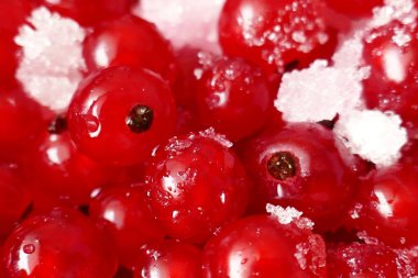 Kırmızı frenk üzümü ve şeker. Frenk üzümü reçeli.