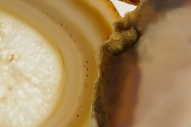 Akik taş. Dilimler. agates kahverengi makro arkaplan