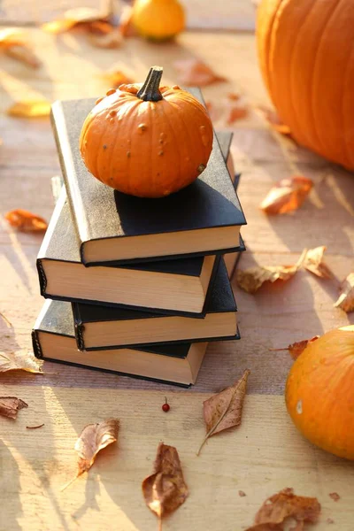 Autumn books. Reading books about autumn.Halloween books.