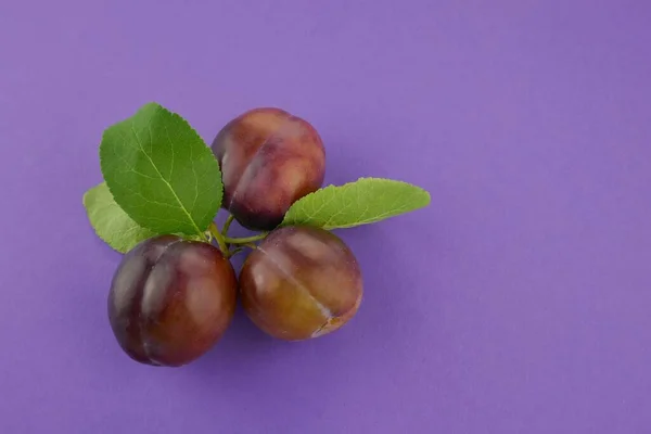 Fruta Ciruela Ciruela Azul Madura Sobre Fondo Púrpura — Foto de Stock