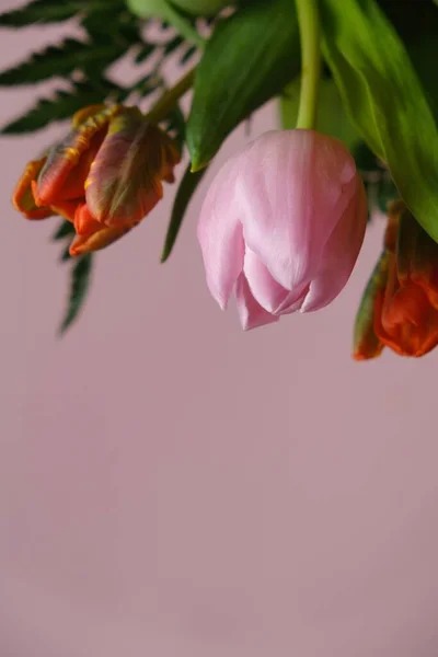 Tulips Flowers Background Top View Copy Space — Stock Photo, Image