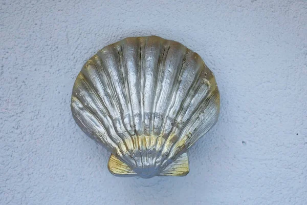 Seashell Close View Έννοια Διακόσμησης Σπιτιού Σύμβολο Καλοκαιρινών Διακοπών — Φωτογραφία Αρχείου
