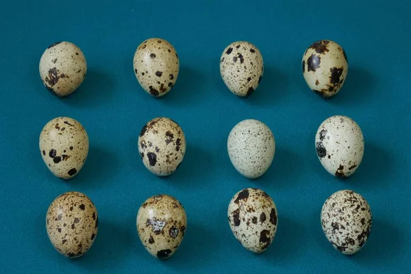 Перепелиные Яйца Заднем Плане Яйцо Рисунок Ярком Бирюзовом Фоне — стоковое фото