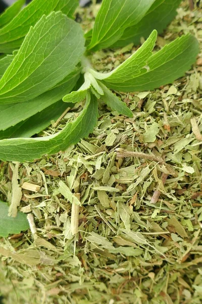 Stevia Rebaudiana Stevia Dalı Kuru Ezilmiş Stevia Yaprakları — Stok fotoğraf