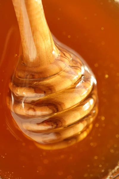 Mel Stick Honey Jar Com Dipper Honey Stick Frasco Com — Fotografia de Stock