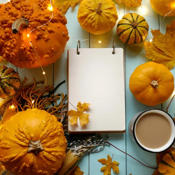 Thanksgiving . Autumn Mock up.Autumn flat lay with pumpkins and notebook
