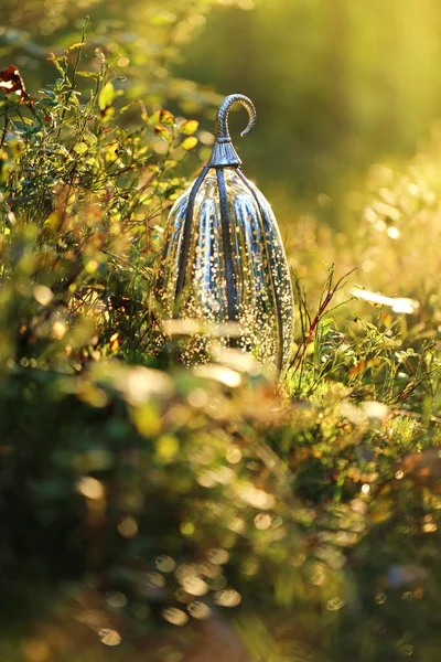 Őszi Koncepció Díszítő Ezüst Tök Erdei Virágokban Fényes Napsütésben — Stock Fotó