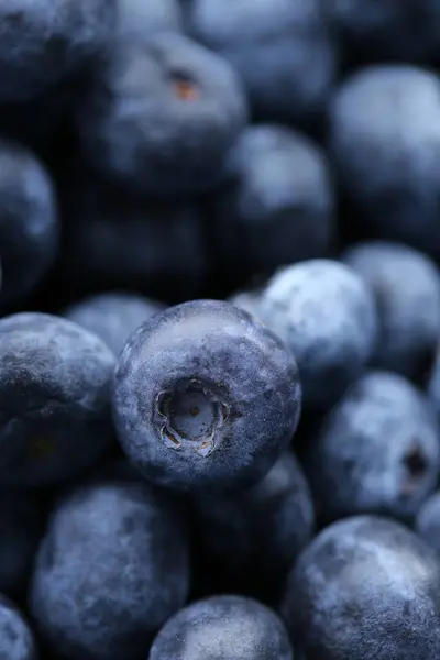 Blueberry Berry Berry Blue Background Macro Shot Fresh Blueberry — Stock Photo, Image