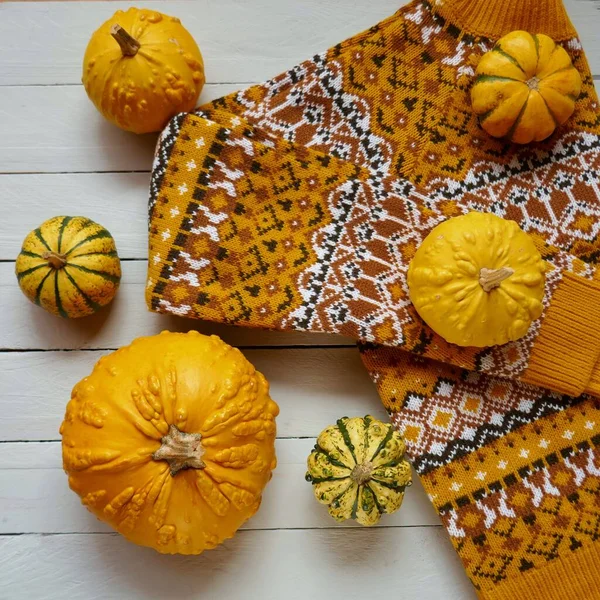 Thanksgiving Autumn Mock Autumn Flat Lay Pumpkins — Stock Photo, Image