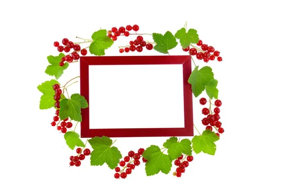 赤いスグリのベリー ベリーのフレーム スグリと緑の葉 — ストック写真