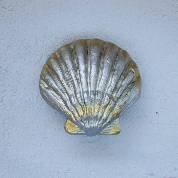 Seashell Close View Conceito Decoração Casa Símbolo Férias Verão — Fotografia de Stock