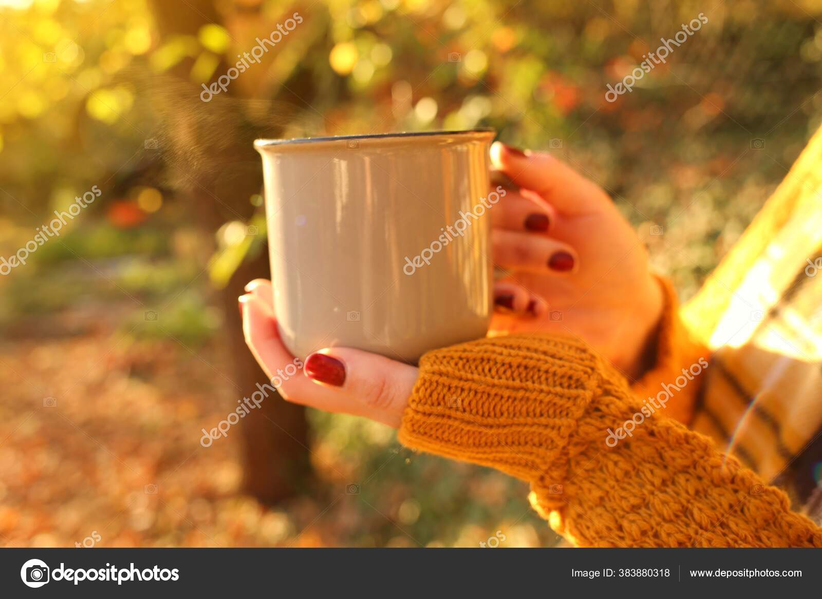 Herbstkaffee Herbsttee Becher Heißgetränk Weiblichen Händen Auf  Verschwommenem Gemüsehintergrund – Stockfoto © RRRmmm22 #383880318, image size:1600x1167