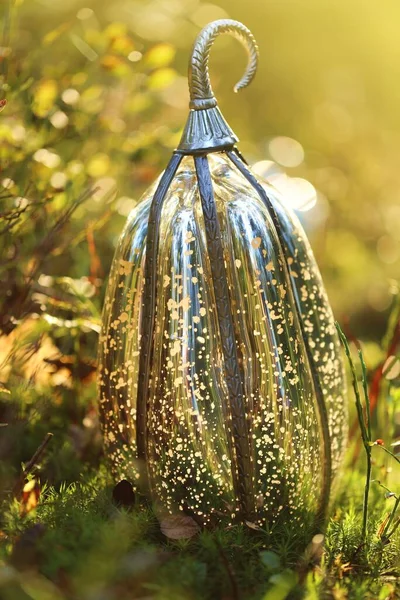 秋のコンセプト 明るい日差しの中で森の花や草の中で装飾的な銀カボチャ — ストック写真