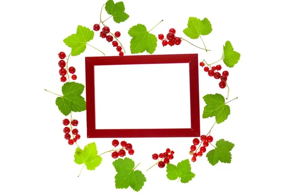 赤いスグリのベリー ベリーのフレーム スグリと緑の葉 — ストック写真