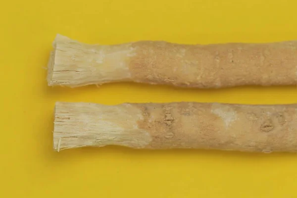 Miswak Natuurlijke Tandenborstel Close — Stockfoto