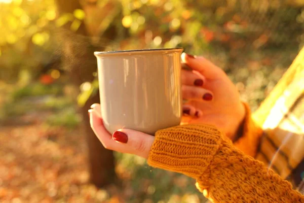 Autumn coffee. Autumn tea. mug of hot drink in female hands on a blurred vegetable background
