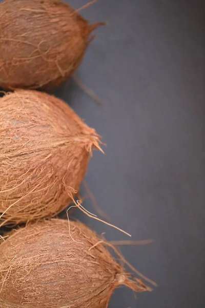 Kelapa Dengan Latar Belakang Hitam Baris Kelapa Close — Stok Foto