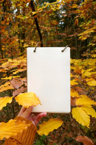 Autumn Mockup Notebook Hand Autumn Forest Background — Stock Photo, Image