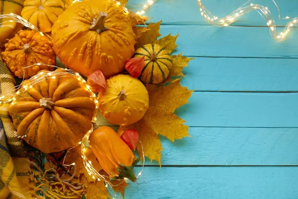 День Благодарения Autumn Mock Autumn Flat Lay Pumpkins — стоковое фото
