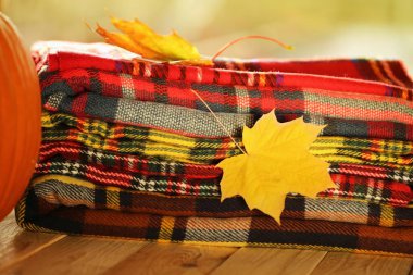 Sonbahar. Sarı akçaağaç yaprağı kareli eşarpların üzerinde