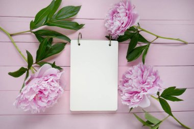 Şakayık çiçekleri. Bahar havası düz katman. Çiçek modeli.