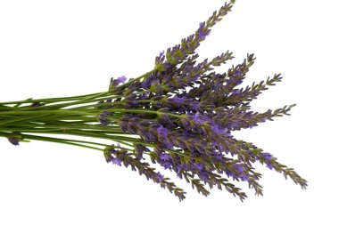 Lavanta çiçekleri arka plan. Üst manzara.