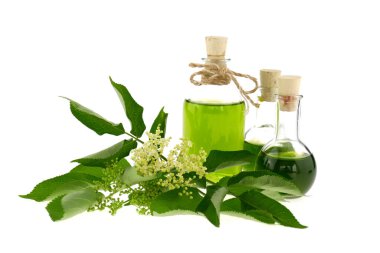 Yaşlı. Cam şişelerde yeşil mürver konservesi ve beyaz arka planda izole edilmiş çiçek açan mürver ağacı dalları. Şifalı bitkiler.