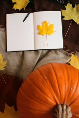 not defteri ve düşen yapraklar, sonbahar arkaplan görünümü