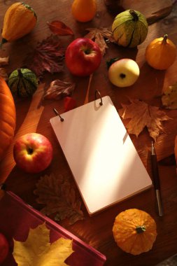 Balkabağı ve not defteriyle sonbahar arkaplanı 