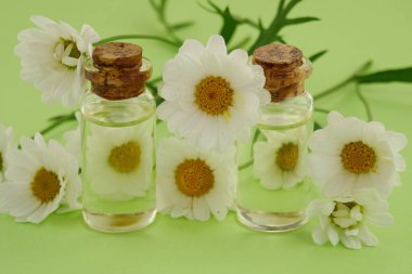 Papatya yağı, cam şişe ve papatya çayı.